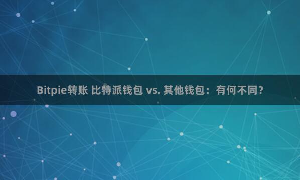 Bitpie转账 比特派钱包 vs. 其他钱包：有何不同？