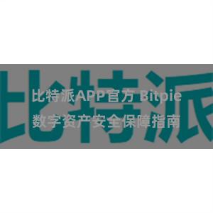 比特派APP官方 Bitpie数字资产安全保障指南