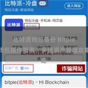 比特派钱包备份 Bitpie钱包操作指南：多链资产管理攻略