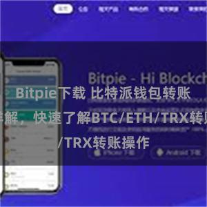 Bitpie下载 比特派钱包转账教程详解，快速了解BTC/ETH/TRX转账操作