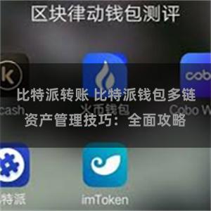 比特派转账 比特派钱包多链资产管理技巧：全面攻略