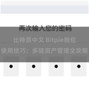 比特派中文 Bitpie钱包使用技巧：多链资产管理全攻略