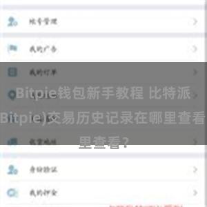 Bitpie钱包新手教程 比特派(Bitpie)交易历史记录在哪里查看？