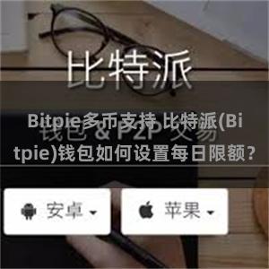 Bitpie多币支持 比特派(Bitpie)钱包如何设置每日限额？