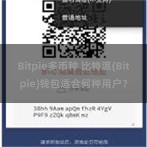 Bitpie多币种 比特派(Bitpie)钱包适合何种用户？