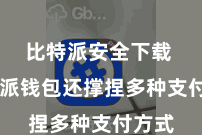 比特派安全下载  比特派钱包还撑捏多种支付方式