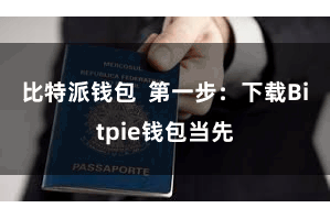比特派钱包  第一步：下载Bitpie钱包当先
