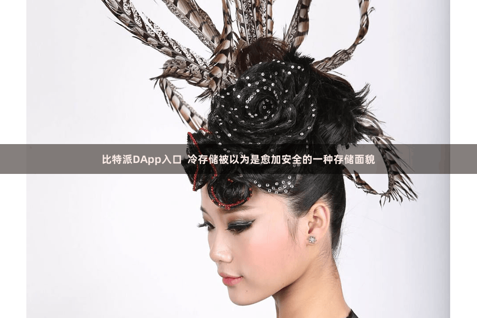 比特派DApp入口  冷存储被以为是愈加安全的一种存储面貌