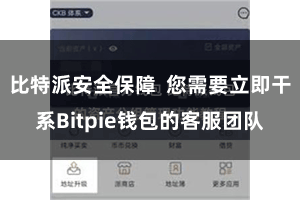 比特派安全保障  您需要立即干系Bitpie钱包的客服团队